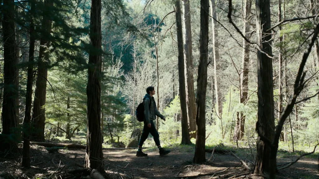 Young person in casual outdoor gear with backpack walking along a narrow dirt path in a lush forest
