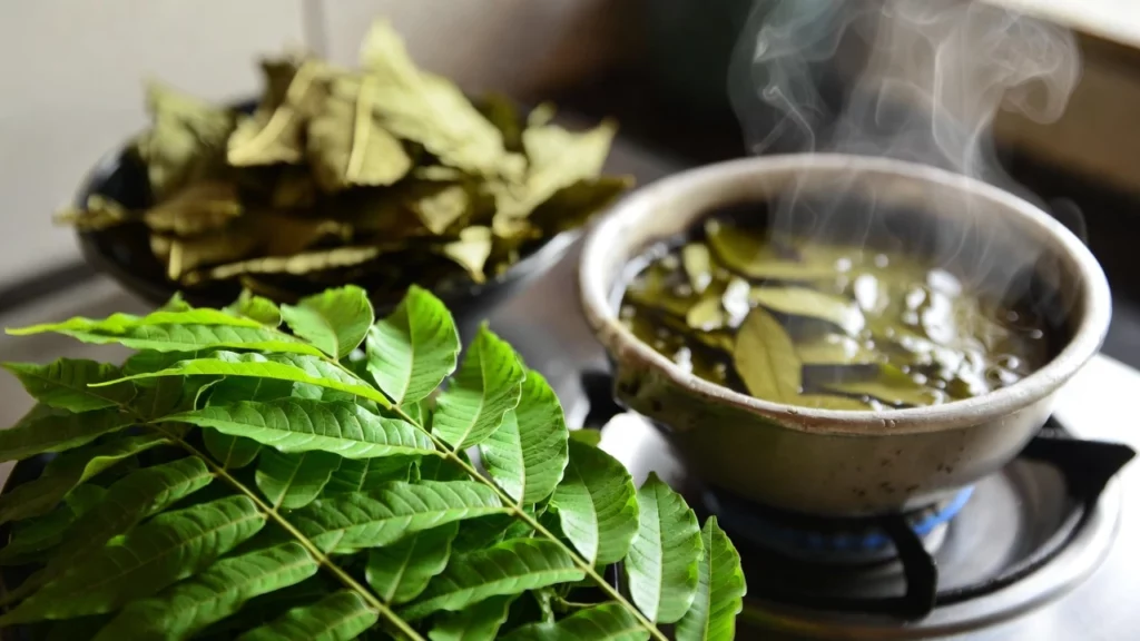Fresh green kratom leaves next to dried leaves in a bowl and simmering kratom tea in a pot on stove