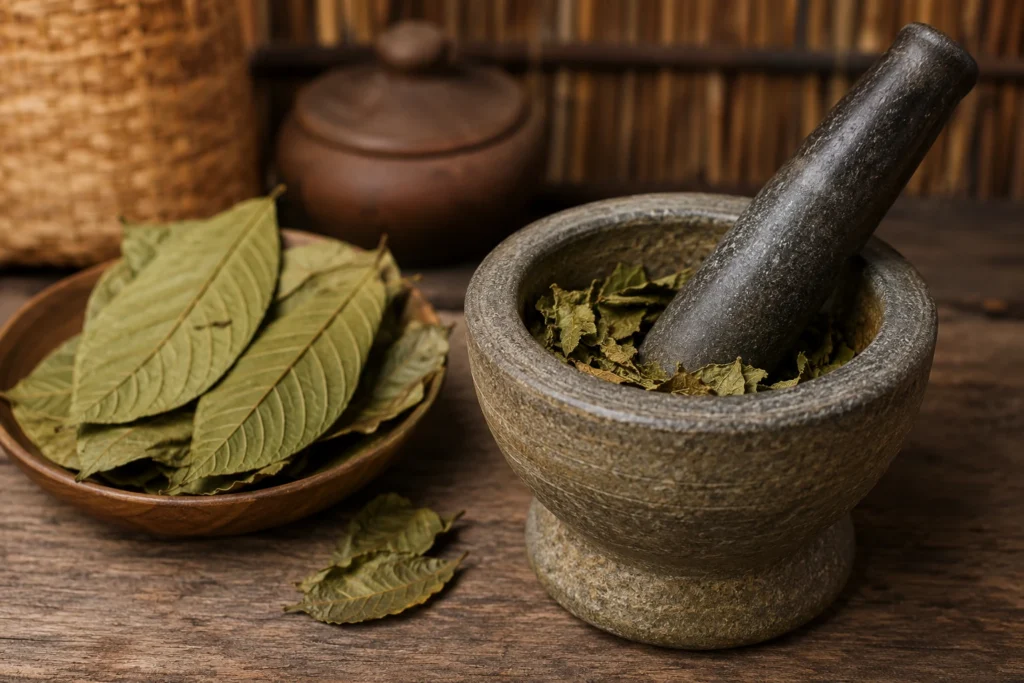 Stone mortar and pestle containing crushed dried kratom leaves, next to a wooden bowl filled with green kratom leaves