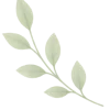 Left leaf