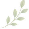 Right leaf